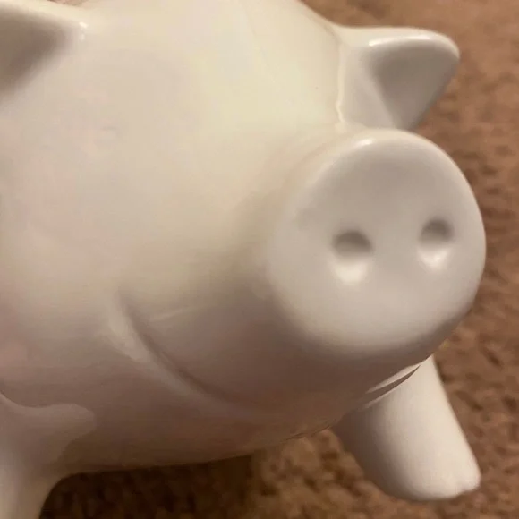 Rae Dunn Oink Canister